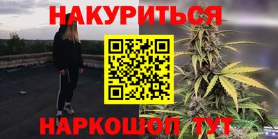 стаф Заводоуковск