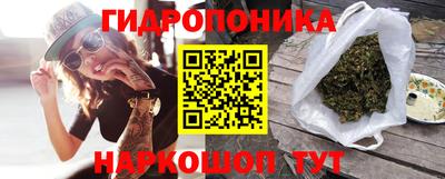 стаф Заводоуковск