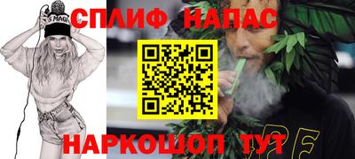 стаф Заводоуковск