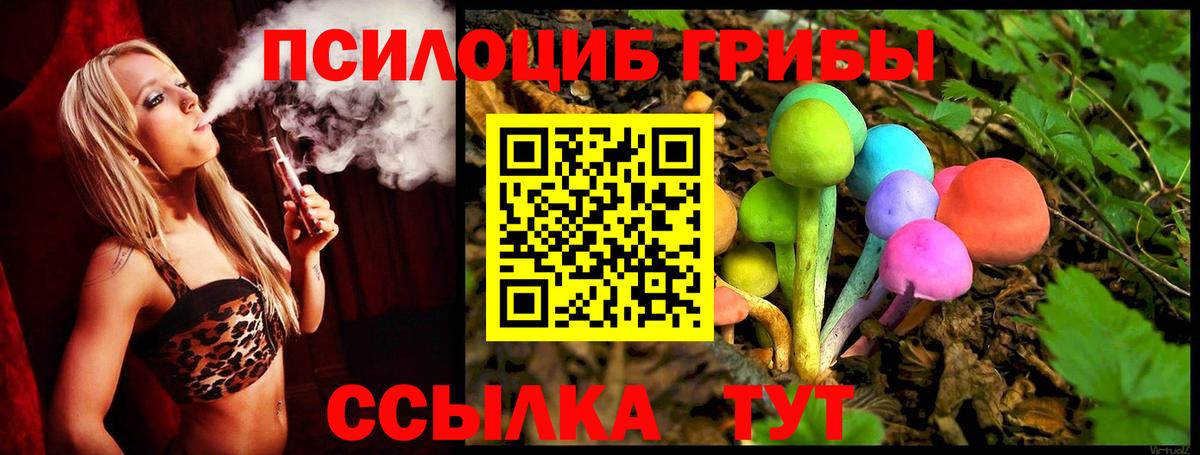 купить наркотики цена  Вход с VPN  Луга  Псилоцибиновые грибы Psilocybine cubensis 